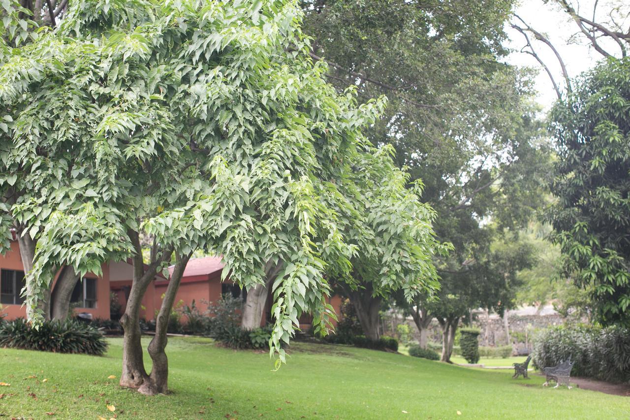 Hotel Jacarandas Cuernavaca Exterior photo